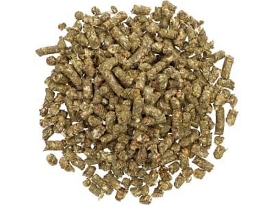 Pegus Power Cobs Maiscobs aus der ganzen Pflanze zum Einweichen Pellet 20 kg Sack Pegus Power Cobs Maiscobs aus der ganzen Pflanze zum Einweichen Pellet 20 kg Sack