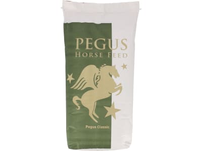 Pegus Classic Mash melassefreies Mash ohne Hafer für Pferde 20 kg Sack
