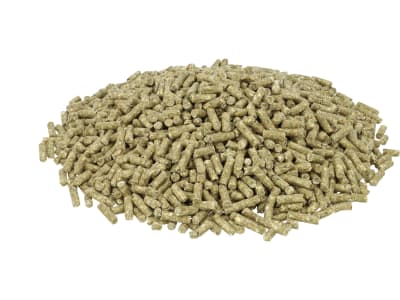 Pegus Classic Bio für Ökobetriebe geeignetes, haferfreies Kraftfutter für Sport- und Freizeitpferde 25 kg Sack Pegus Classic Bio für Ökobetriebe geeignetes, haferfreies Kraftfutter für Sport- und Freizeitpferde 25 kg Sack