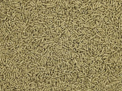 Pegus Classic Bio für Ökobetriebe geeignetes, haferfreies Kraftfutter für Sport- und Freizeitpferde 25 kg Sack Pegus Classic Bio für Ökobetriebe geeignetes, haferfreies Kraftfutter für Sport- und Freizeitpferde 25 kg Sack