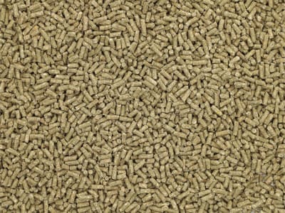 Pegus Power Extra energiereiches, haferfreies Pelletfutter für Sportpferde 25 kg Sack Pegus Power Extra energiereiches, haferfreies Pelletfutter für Sportpferde 25 kg Sack