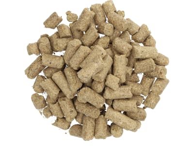 Pegus Goodies Apfel Pferdeleckerlis mit fruchtigem Apfelgeschmack Pellet 1 kg Beutel Pegus Goodies Apfel Pferdeleckerlis mit fruchtigem Apfelgeschmack Pellet 1 kg Beutel