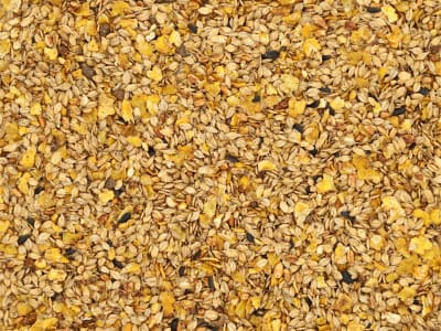 Pegus Classic Seniormüsli hoch aufgeschlossenes, leicht verdauliches Müsli, kann eingeweicht gefüttert werden Müsli 20 kg Sack Pegus Classic Seniormüsli hoch aufgeschlossenes, leicht verdauliches Müsli, kann eingeweicht gefüttert werden Müsli 20 kg Sack