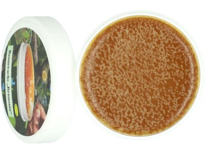 Schacht Baumwachs Brunonia 250 g Dose Paste Schacht Baumwachs Brunonia 250 g Dose Paste