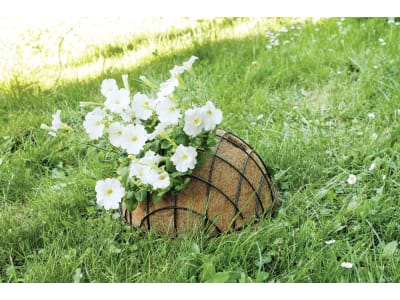 Weitere Bilder Weitere Bilder