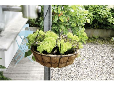 bellissa Blumenampel "Hanging Basket" mit Kokoseinsatz mattschwarz bellissa Blumenampel "Hanging Basket" mit Kokoseinsatz mattschwarz