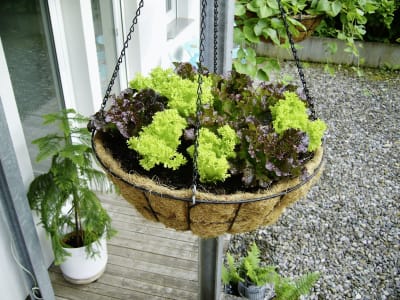 Weitere Bilder Weitere Bilder