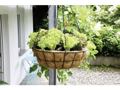 Weitere Bilder Weitere Bilder
