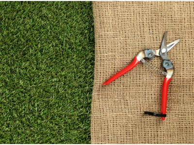 ARS Ernte- und Obstschere 310 16 cm Gartenschere ARS Ernte- und Obstschere 310 16 cm Gartenschere