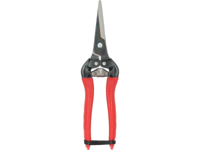 ARS Trauben- und Ernteschere 300L 19 cm Gartenschere ARS Trauben- und Ernteschere 300L 19 cm Gartenschere