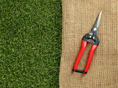 ARS Trauben- und Ernteschere 300L 19 cm Gartenschere ARS Trauben- und Ernteschere 300L 19 cm Gartenschere