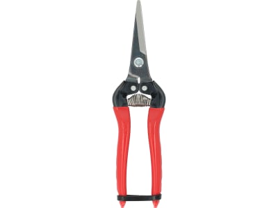 ARS Trauben- und Ernteschere 300L 19 cm Gartenschere ARS Trauben- und Ernteschere 300L 19 cm Gartenschere