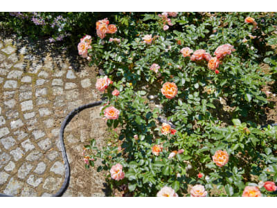 Gardena Textilschlauch Gartenschlauch Liano mit Hahnverbinder Indoor  10 m  1/2" schwarz  35 bar 18427-32