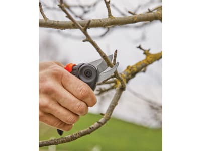 Gardena Gartenschere ExpertCut Bypass 12203-34 Gardena Gartenschere ExpertCut Bypass 12203-34