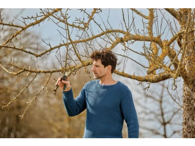 Gardena Gartenschere ExpertCut Bypass 12203-34 Gardena Gartenschere ExpertCut Bypass 12203-34