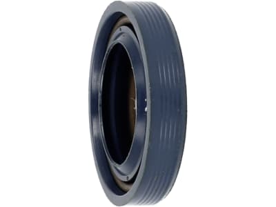 STIHL Wellendichtring, 15 x 25 x 5 mm für Zylinder Gesteinschneider GS 460, Kettensäge 017, 018, 019, 021, 023, 025, MS 170, MS 180, MS 190, MS 200, MS 300, 9638 003 1581 STIHL Wellendichtring, 15 x 25 x 5 mm für Zylinder Gesteinschneider GS 460, Kettensäge 017, 018, 019, 021, 023, 025, MS 170, MS 180, MS 190, MS 200, MS 300, 9638 003 1581