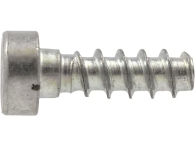 STIHL Torxschraube M 6 x 19 mm, Grobgewinde, für Kettensäge, Trennschleifgerät und weitere Motorgeräte, 9074 478 4435 STIHL Torxschraube M 6 x 19 mm, Grobgewinde, für Kettensäge, Trennschleifgerät und weitere Motorgeräte, 9074 478 4435