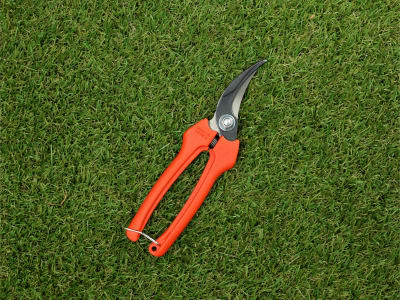 BAHCO Profi-Leseschere P123-19 10 Gartenschere BAHCO Profi-Leseschere P123-19 10 Gartenschere