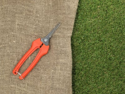 BAHCO Profi-Leseschere P128-19 6 für die Traubenernte, Gartenschere BAHCO Profi-Leseschere P128-19 6 für die Traubenernte, Gartenschere