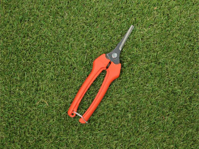 BAHCO Profi-Leseschere P128-19 6 für die Traubenernte, Gartenschere BAHCO Profi-Leseschere P128-19 6 für die Traubenernte, Gartenschere