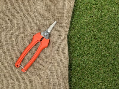 BAHCO Profi-Leseschere P127-19 6 für Floristen und Erntearbeiten, Gartenschere BAHCO Profi-Leseschere P127-19 6 für Floristen und Erntearbeiten, Gartenschere
