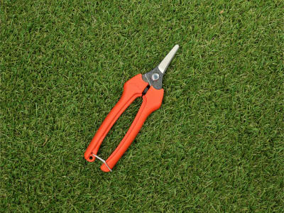 BAHCO Profi-Leseschere P127-19 6 für Floristen und Erntearbeiten, Gartenschere BAHCO Profi-Leseschere P127-19 6 für Floristen und Erntearbeiten, Gartenschere