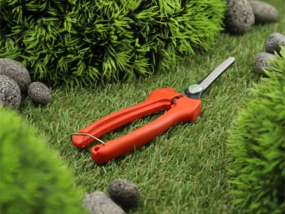 BAHCO Profi-Leseschere P129-19 6 für die Traubenernte, Gartenschere BAHCO Profi-Leseschere P129-19 6 für die Traubenernte, Gartenschere