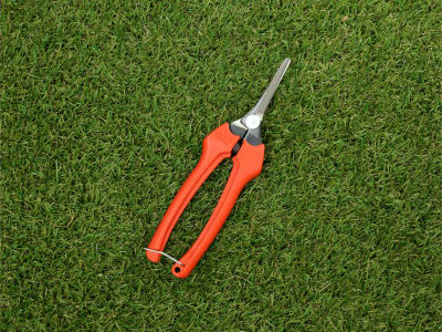 BAHCO Profi-Leseschere P129-19 6 für die Traubenernte, Gartenschere BAHCO Profi-Leseschere P129-19 6 für die Traubenernte, Gartenschere
