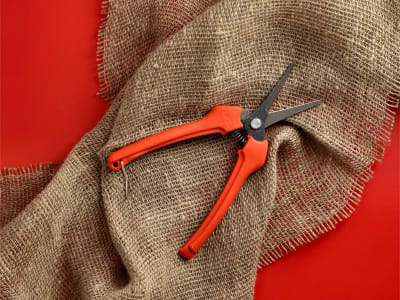 BAHCO Profi-Leseschere P129-19 6 für die Traubenernte, Gartenschere BAHCO Profi-Leseschere P129-19 6 für die Traubenernte, Gartenschere