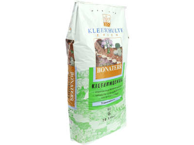 KLEESCHULTE Kieferndekor KLEESCHULTE Kieferndekor