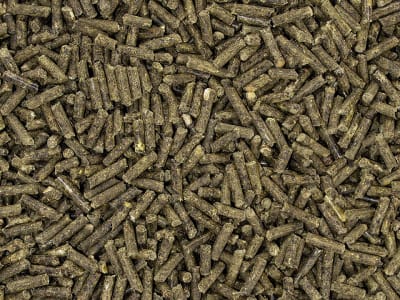 SPEED N° 1 Senior hochkonzentriertes, pelletiertes, melassefreies, getreidefreies Mineralfutter 1,5 kg Eimer SPEED N° 1 Senior hochkonzentriertes, pelletiertes, melassefreies, getreidefreies Mineralfutter 1,5 kg Eimer
