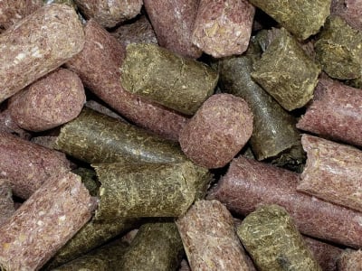 SPEED delicious speedies MIX-it Leckerli-Mischung mit unterschiedlichen Geschmacksrichtungen für Pferde 8 kg Box