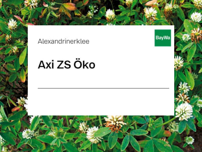 Alexandrinerklee Axi ZS Öko 25 kg Sack Alexandrinerklee Axi ZS Öko 25 kg Sack