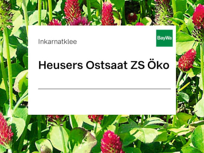 Inkarnatklee Heusers Ostsaat ZS Öko 25 kg Sack Inkarnatklee Heusers Ostsaat ZS Öko 25 kg Sack