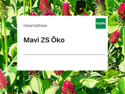 Inkarnatklee Mavi ZS Öko 25 kg Sack Inkarnatklee Mavi ZS Öko 25 kg Sack
