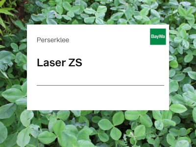 Perserklee Laser ZS 25 kg Sack Perserklee Laser ZS 25 kg Sack