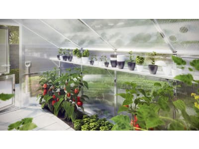 KGT Hängebord für Tulpe KGT Hängebord für Tulpe
