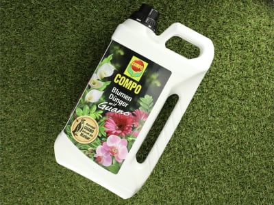 COMPO Blumendünger mit Guano Flüssigdünger Flüssigdünger, Blumendünger mit Guano 5 l Kanister  flüssig