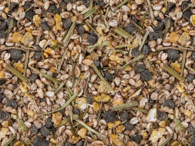 Höveler Oldie-Mix haferfreies Müsli für alte Pferde 20 kg Sack Höveler Oldie-Mix haferfreies Müsli für alte Pferde 20 kg Sack