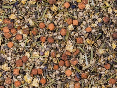 Höveler Kräutermüsli haferfreies und staubfreies Pferdefutter mit Kräutermischung 20 kg Sack Höveler Kräutermüsli haferfreies und staubfreies Pferdefutter mit Kräutermischung 20 kg Sack