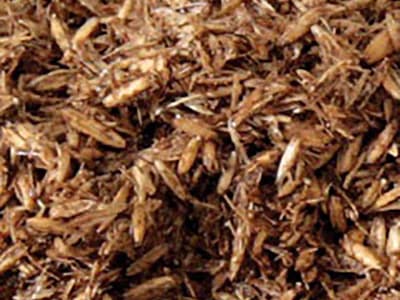 Höveler Reformhafer staubfreies, melassiertes Müsli für Pferde 25 kg Sack Höveler Reformhafer staubfreies, melassiertes Müsli für Pferde 25 kg Sack