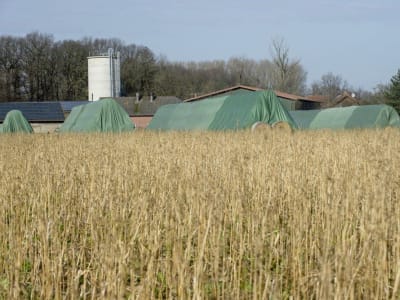 Toptex® Strohvlies und Heuvlies      Abdeckvlies für Stroh und Heu