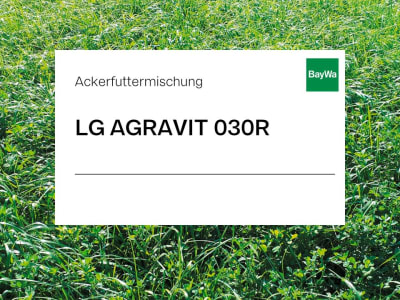 Limagrain AGRAVIT 030R 20 kg Sack Limagrain AGRAVIT 030R 20 kg Sack