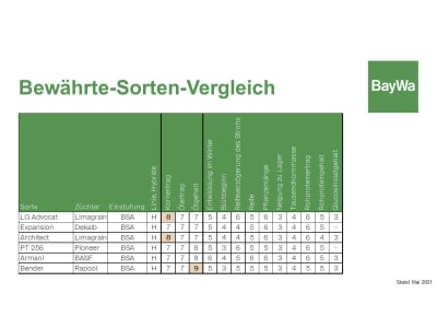 Winterraps Saatgut LG ADVOCAT Scenic Gold 1.5 Mio. Körner/EH 