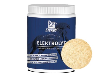 DERBY® Elektrolyt zum Ausgleich von Schweißverlusten 1 kg Dose DERBY® Elektrolyt zum Ausgleich von Schweißverlusten 1 kg Dose