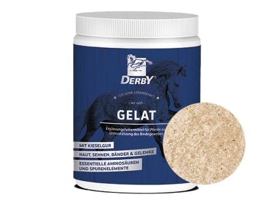 DERBY® Gelat für Pferde Pulver 700 g Dose DERBY® Gelat für Pferde Pulver 700 g Dose