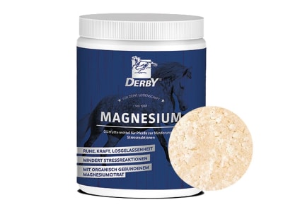 DERBY® Magnesium für Pferde 1 kg Dose DERBY® Magnesium für Pferde 1 kg Dose
