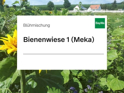 Freudenberger FAKT Mischung 3 Überjährig Öko 10 kg Sack Freudenberger FAKT Mischung 3 Überjährig Öko 10 kg Sack