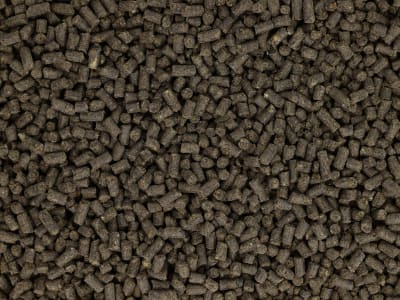 Oscorna® Animalin organischer NPK 7+4+0.5 Naturdünger mit Sofort- u. Langzeitwirkung, für Sträucher, Blumen und Zierpflanzen 20 kg Sack Pellet Oscorna® Animalin organischer NPK 7+4+0.5 Naturdünger mit Sofort- u. Langzeitwirkung, für Sträucher, Blumen und Zierpflanzen 20 kg Sack Pellet