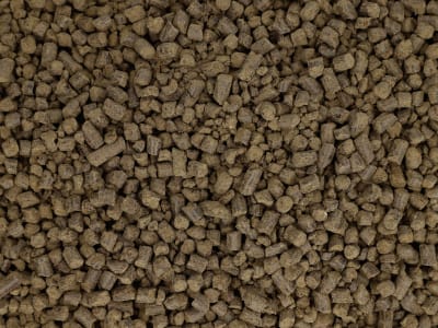 Beckmann Profi Provita Provita® Pellet 105 Nord 20 kg Sack Pellet Beckmann Profi Provita Provita® Pellet 105 Nord 20 kg Sack Pellet